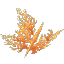 Plant Coral Bush Orange