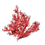 Plant Coral Bush Red