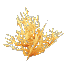 Plant Coral Bush Yellow