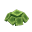 Plant Coral Model Lime