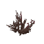Plant Crop Berry Winter Block