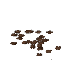 Plant Crop Cauliflower Block