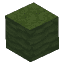 Plant Crop Mushroom Block Green