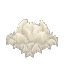 Plant Crop Mushroom Block White Mycelium