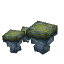 Plant Crop Mushroom Cap Green