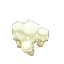 Plant Crop Mushroom Cap White
