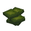 Plant Crop Mushroom Shelve Green