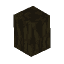 Plant Fern Jungle Trunk
