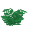 Plant Fern Wet Big