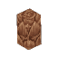 Plant Fern Wet Giant Trunk