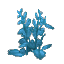 Plant Flower Bushy Blue