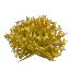Plant Flower Bushy Yellow