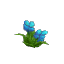 Plant Flower Common Cyan2