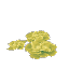 Plant Flower Common Lime2