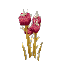 Plant Flower Common Poisoned
