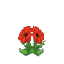 Plant Flower Common Red2