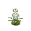 Plant Flower Common White