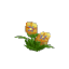Plant Flower Common Yellow