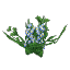 Plant Flower Flax Blue