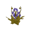 Plant Flower Flax Purple