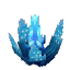 Plant Flower Orchid Cyan