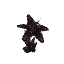 Plant Flower Orchid Poisoned
