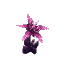 Plant Flower Orchid Purple