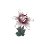 Plant Flower Orchid White