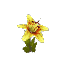 Plant Flower Orchid Yellow