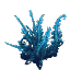 Plant Flower Tall Cyan