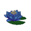Plant Flower Water Blue