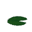 Plant Flower Water Green