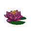 Plant Flower Water Purple