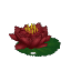 Plant Flower Water Red