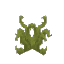 Plant Grass Gnarled