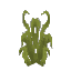 Plant Grass Gnarled Tall