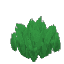 Plant Grass Jungle