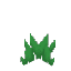 Plant Grass Jungle Short