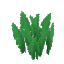 Plant Grass Jungle Tall