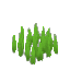 Plant Grass Sharp