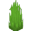 Plant Grass Sharp Overgrown