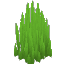 Plant Grass Sharp Wild