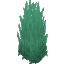 Plant Grass Wet Overgrown