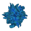 Plant Leaves Azure