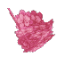 Plant Leaves Crystal