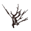 Plant Leaves Dead