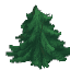Plant Leaves Fir Tip