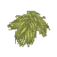 Plant Leaves Gumboab