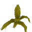 Plant Leaves Palm Arid