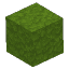 Plant Moss Block Green
